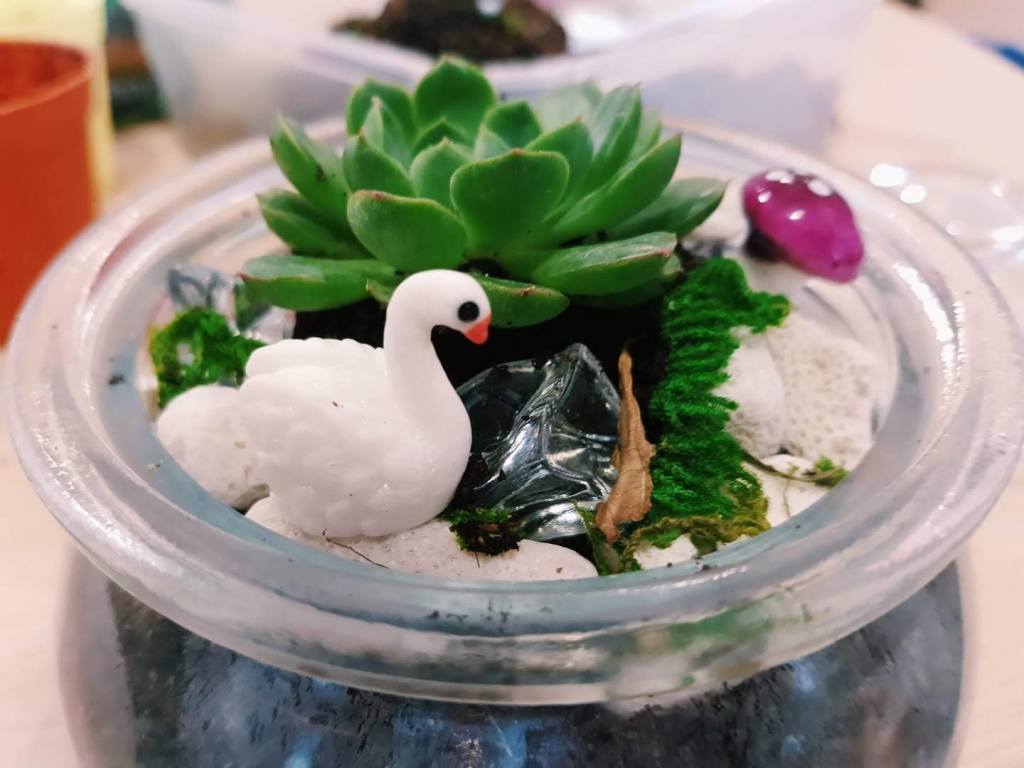 Terrarium with Elderly