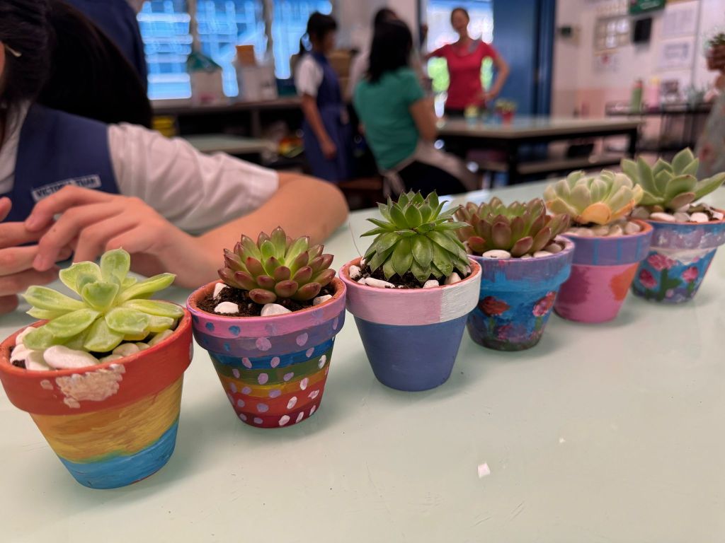 CHIJ Our Lady of Nativity: Mug Marbling & Pot Painting with&nbsp;Plants